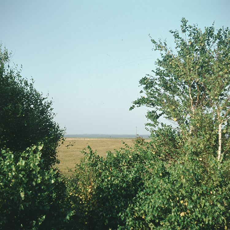620104