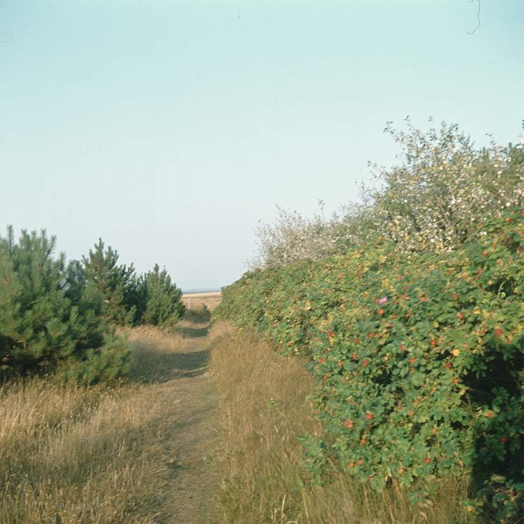 620107