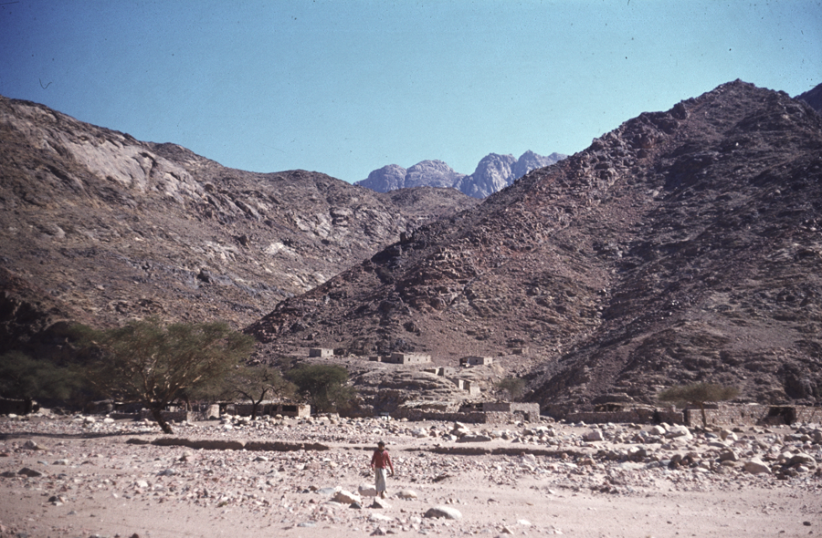 Sinai03