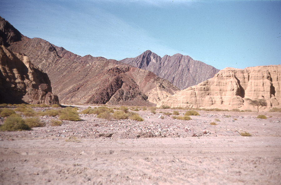 Sinai042