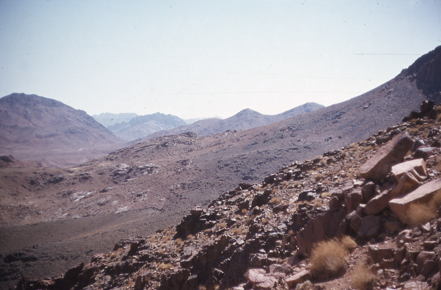 Sinai059