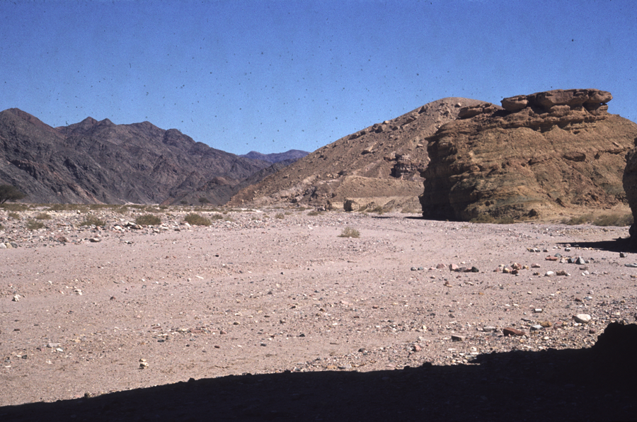 Sinai09