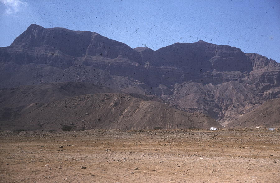 Sinai18