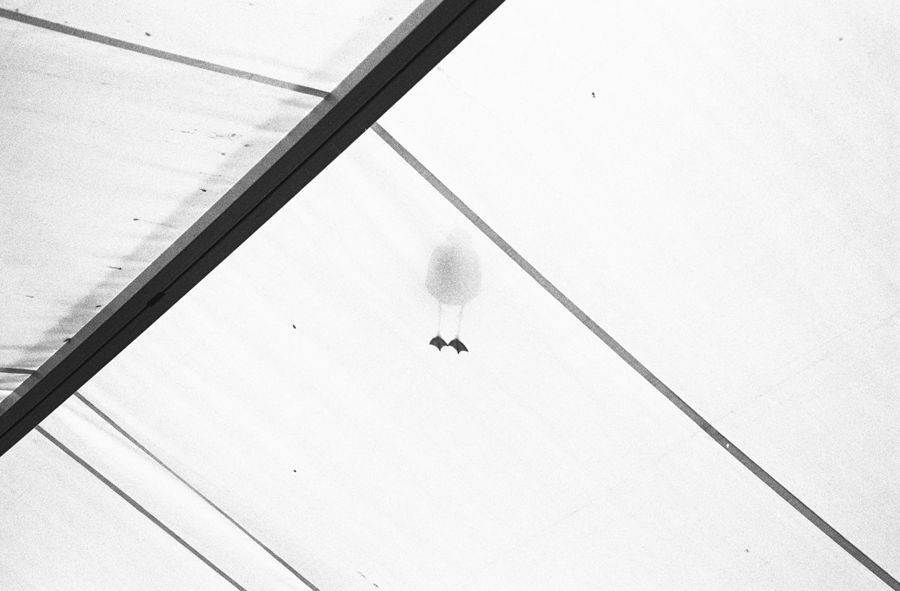 200536