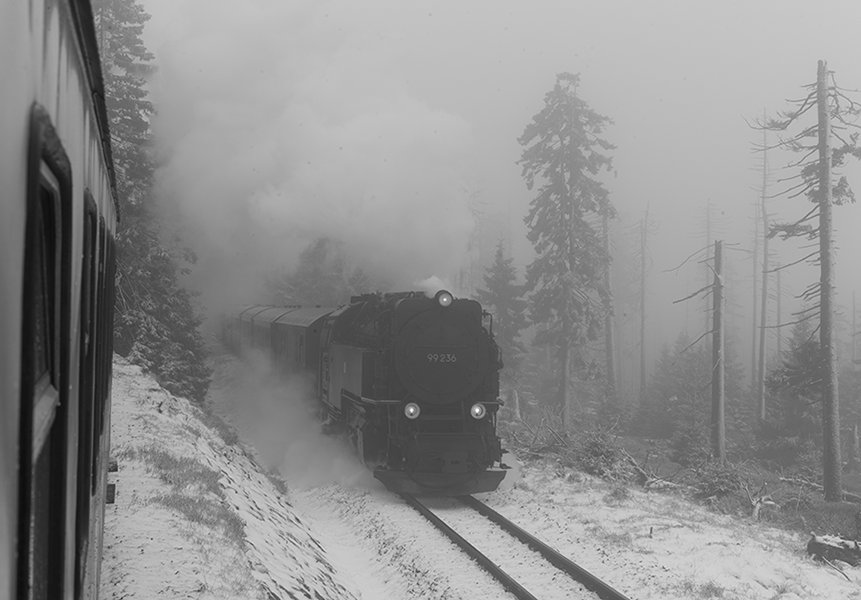 L1001129