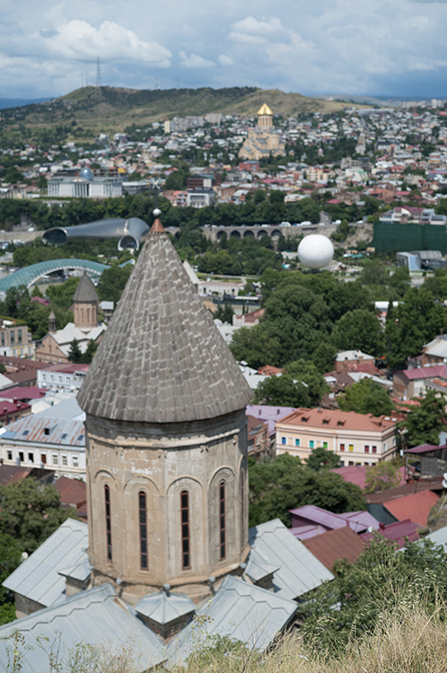V0000481