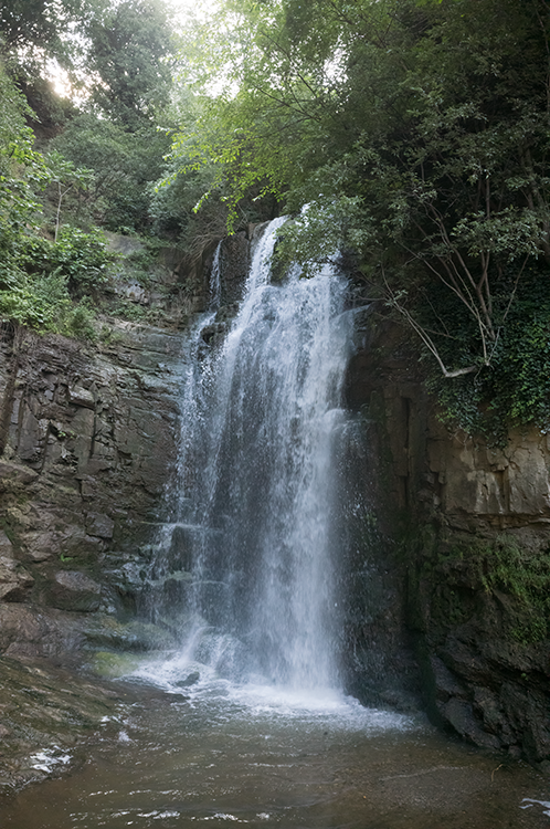 V0000557