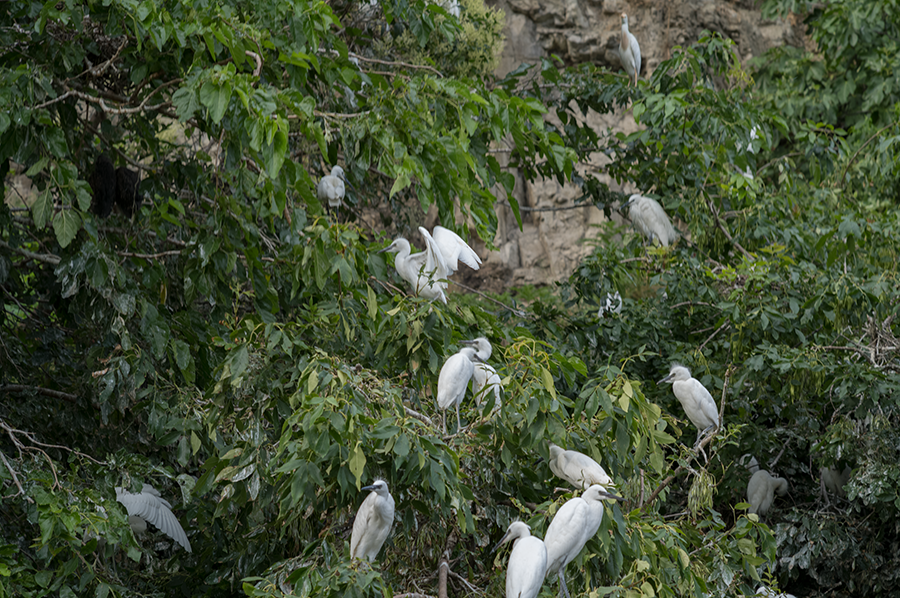 V0000579