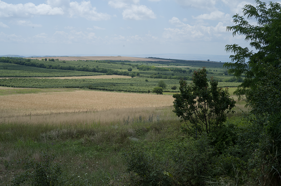 V0000606