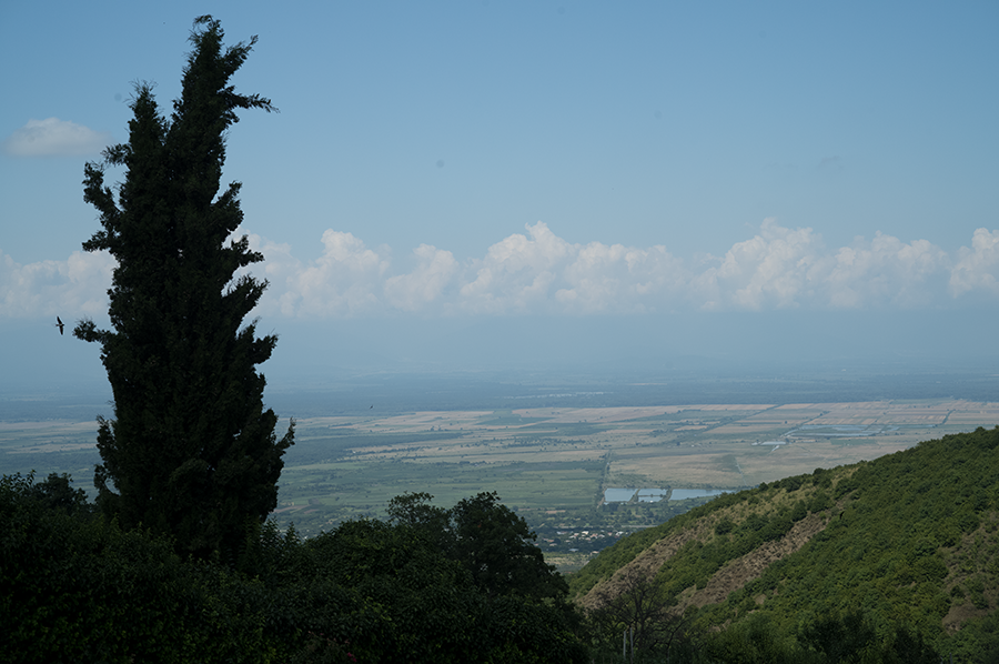 V0000614